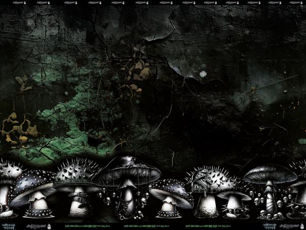 Seelengift  - Jersey - 2-m-Coupon